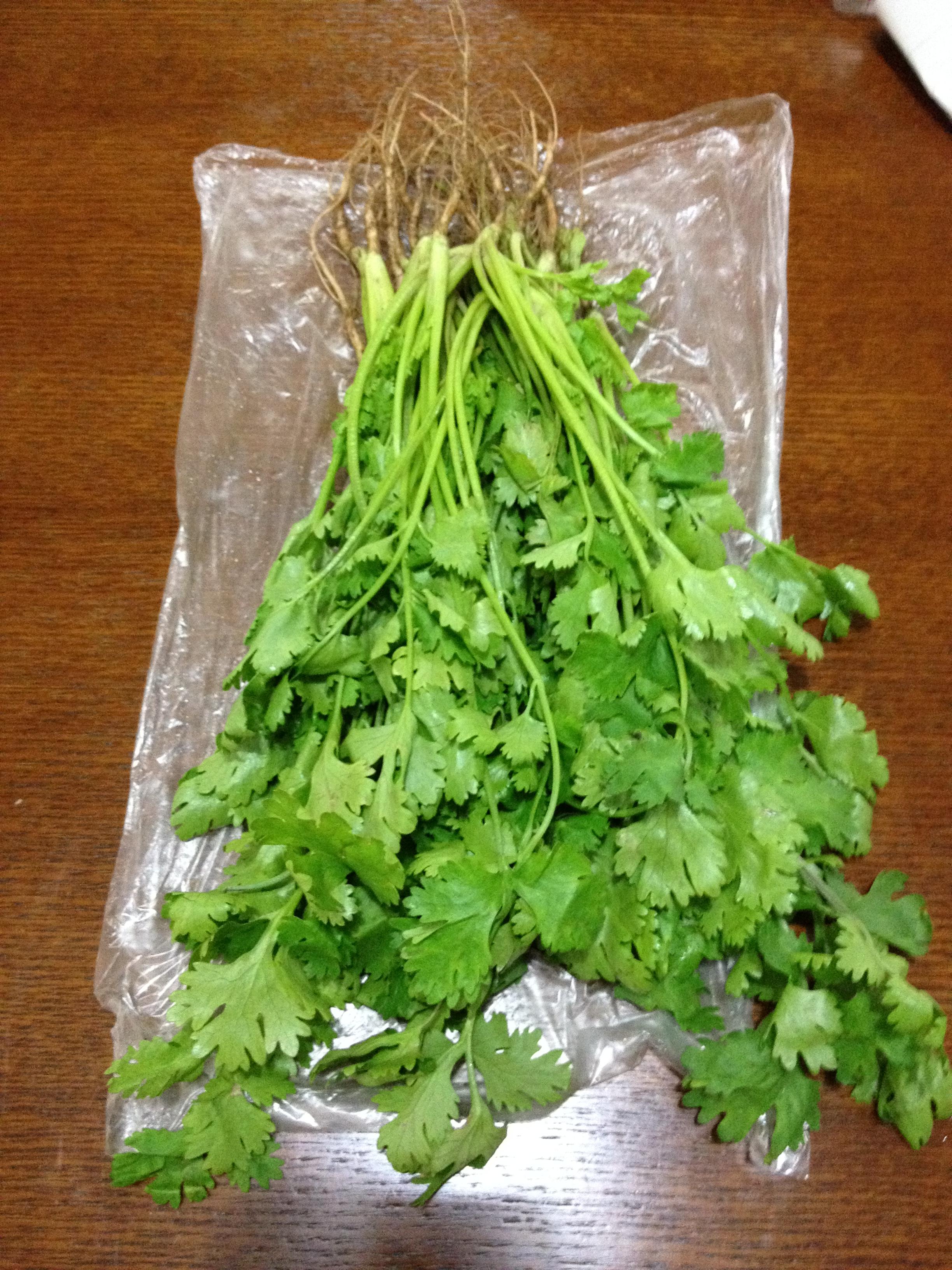 372天6小时后更新:8月27日 23:00 用封口的保鲜袋装的香菜,仍然很新鲜