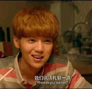 为什么鹿晗粉丝有的那么凶? - heavenlili 的回答