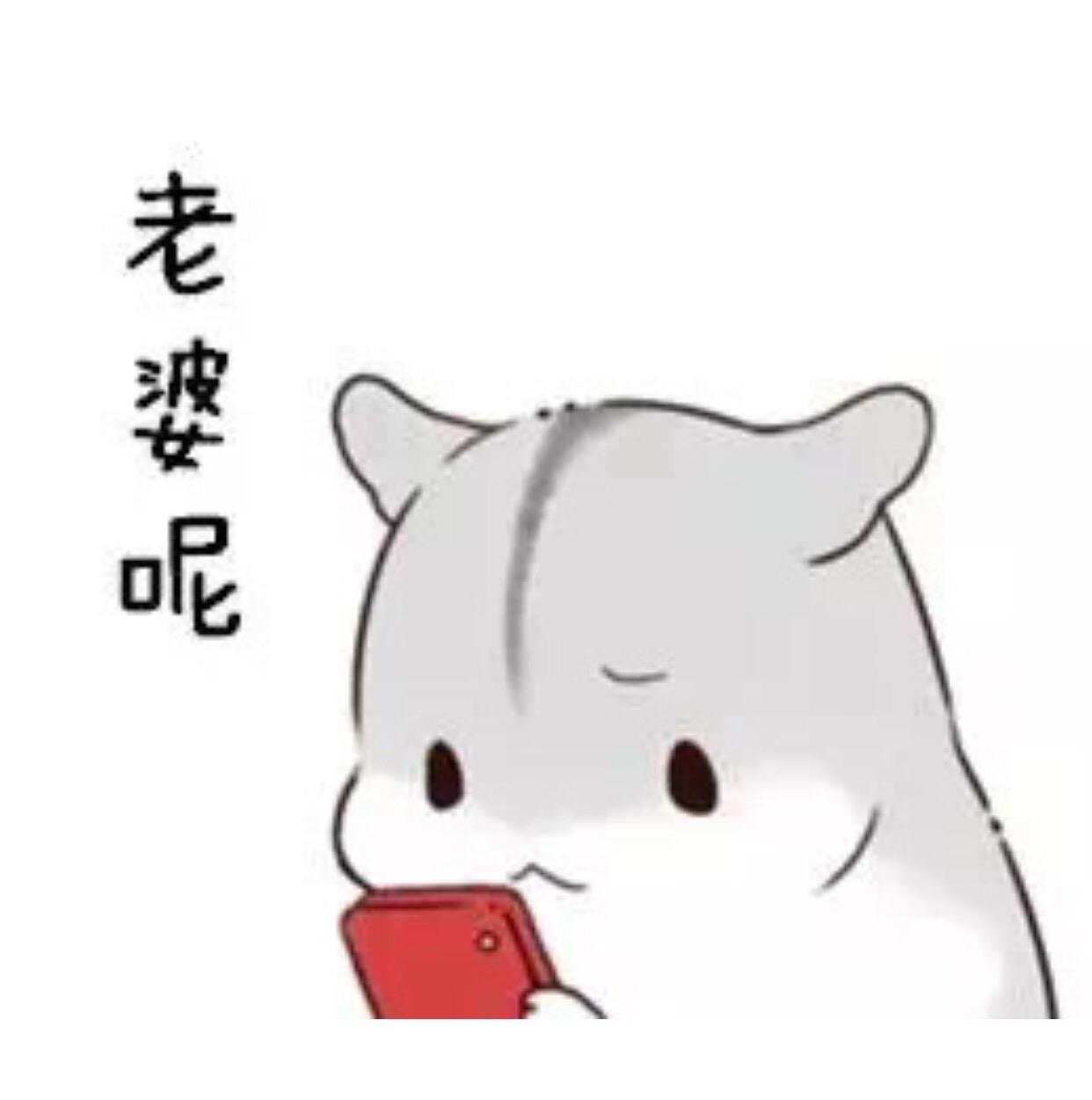 有没有萌萌的图可以用来哄女朋友的