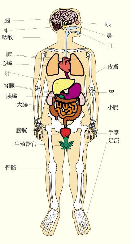 寿命的交易对价又大概是什么水平? - 知乎