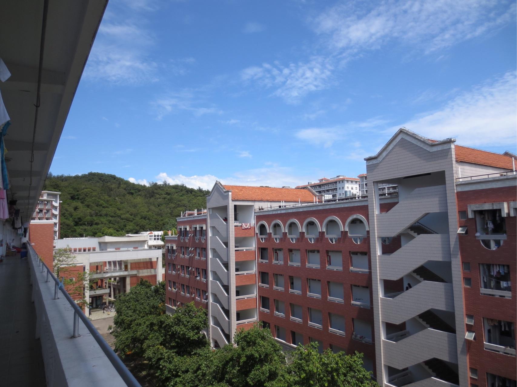 高三,怎么才能下定决心努力学习? - SenseDov