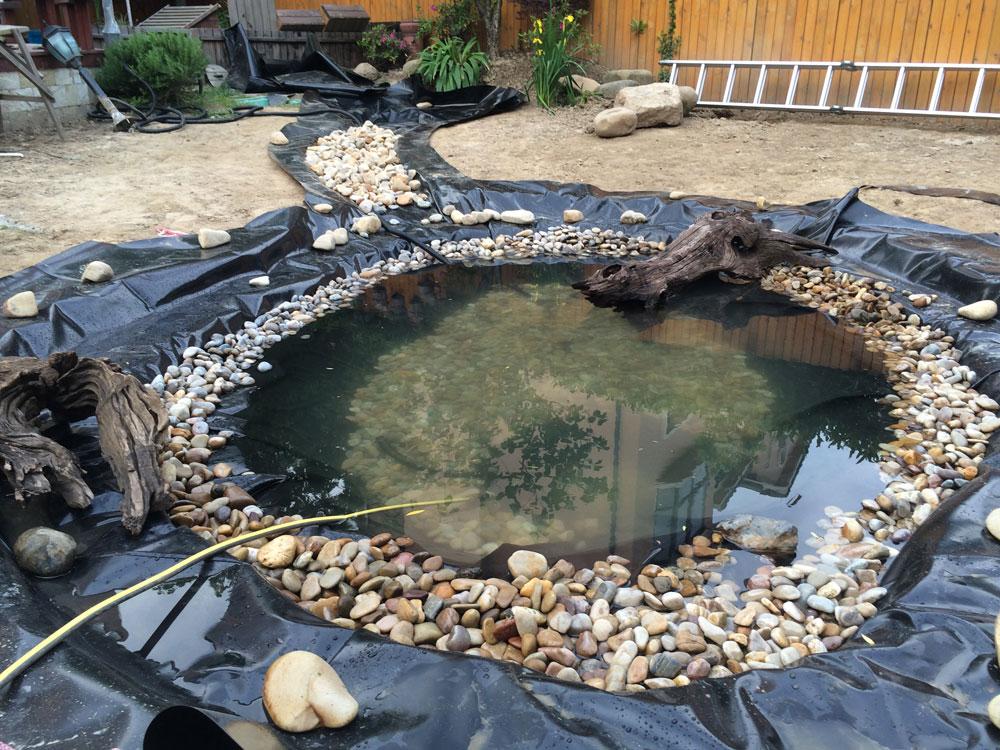 自建池塘美化庭院——家庭自建小池塘指南