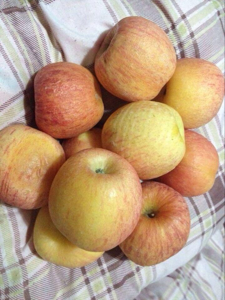 苹果(红富士)被冻伤成这样能补救吗? - 知乎