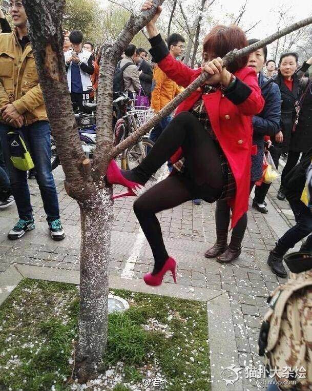 女朋友生气心烦的时候爱爬树怎么办? - 匿名用