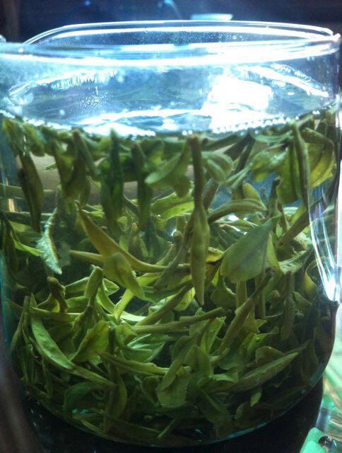 杭州哪里买龙井茶好? - 野人花园的回答 - 知乎