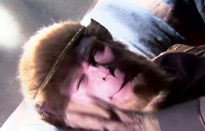 大圣孙悟空的"火眼金睛"是一双"老害病眼",搁在今天那就是一双风沙眼