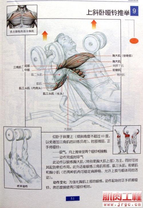 男生如何练出胸肌