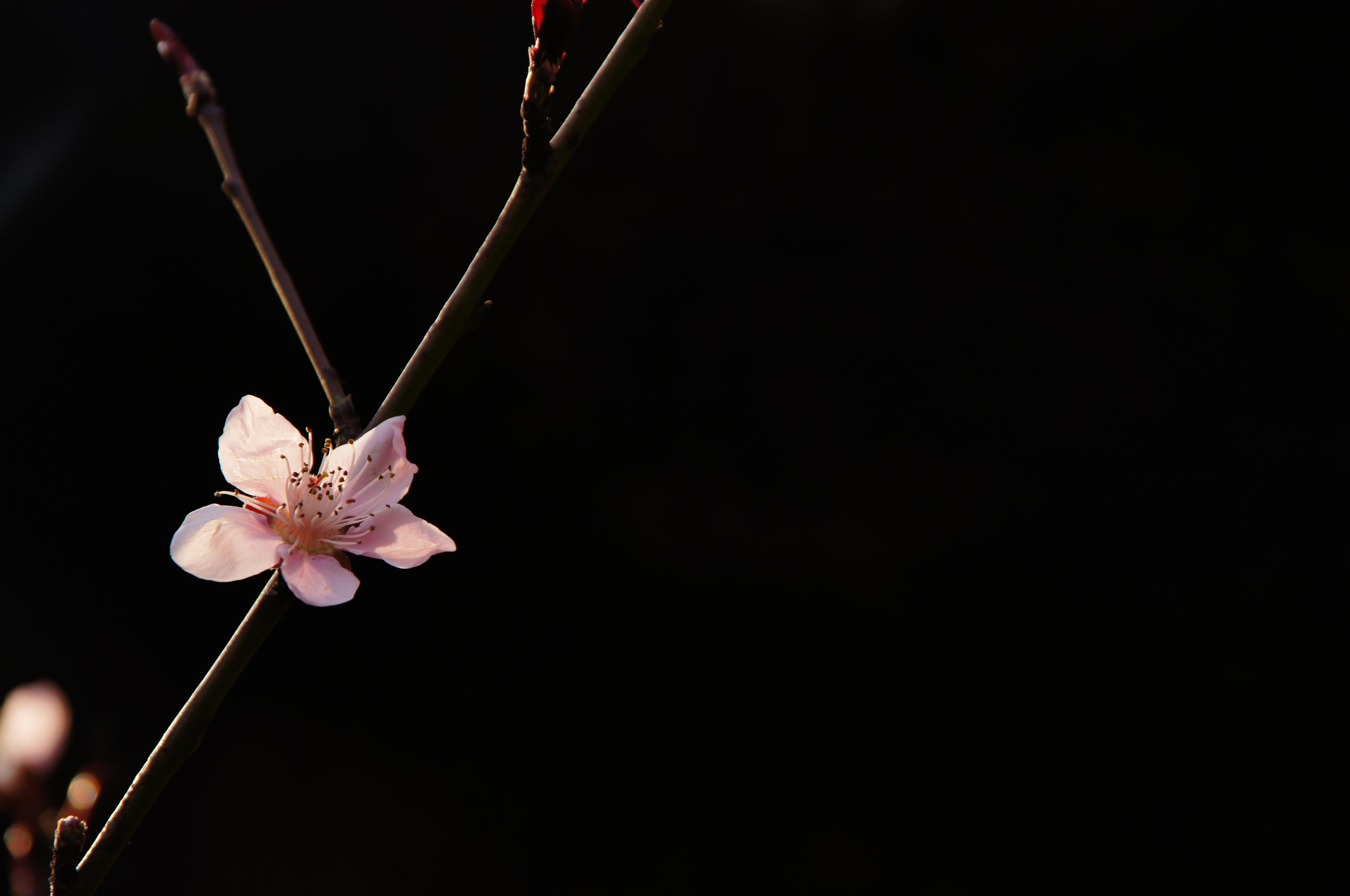 大学里的摄影协会,可以办哪些有意思有创意的活动?