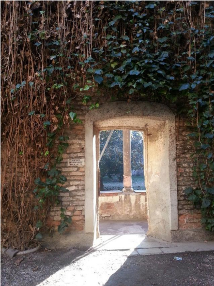 我是16届美术生一枚 想去意大利留学 想知道意