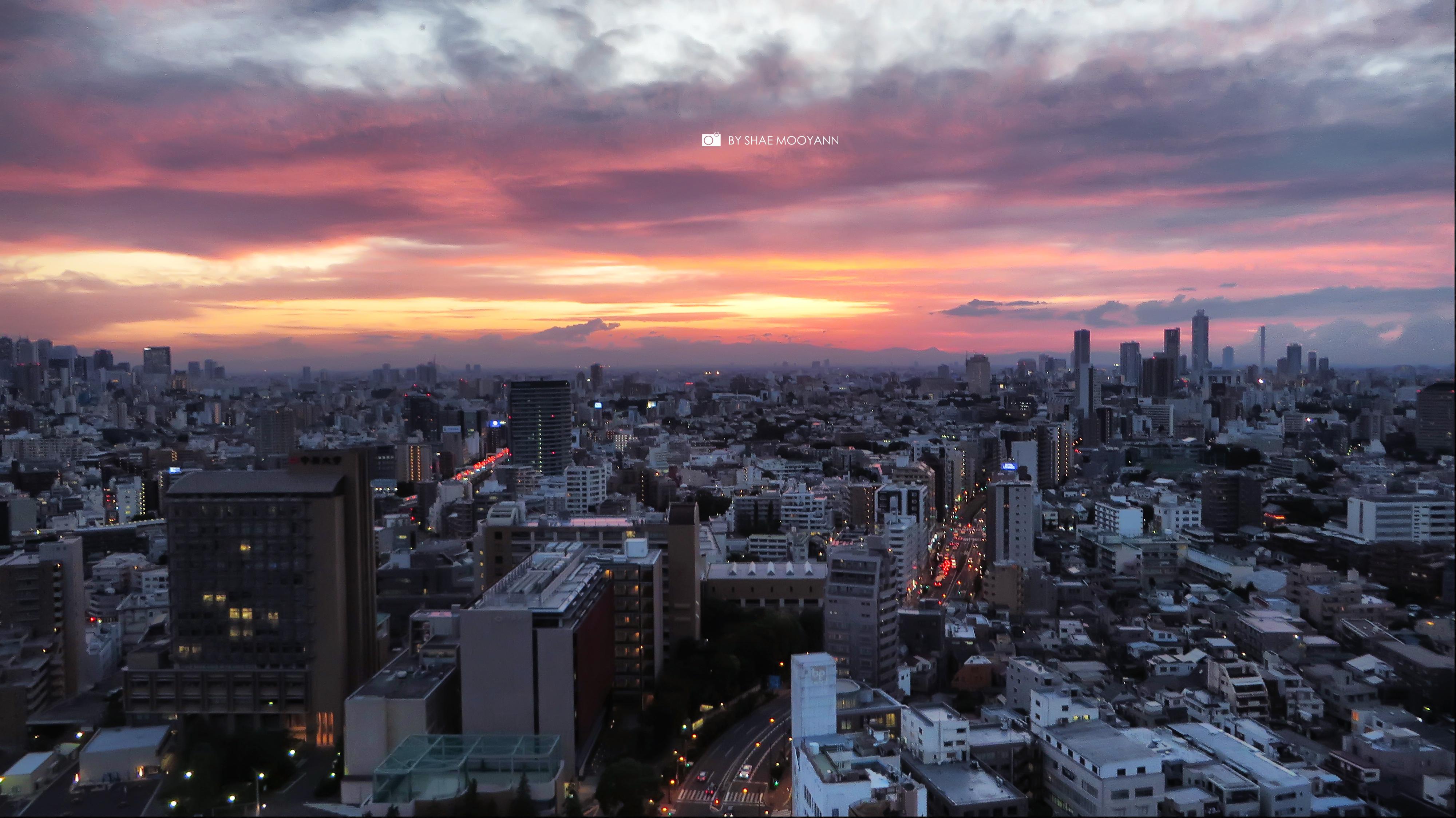 这个夏天最美的东京 - 知乎