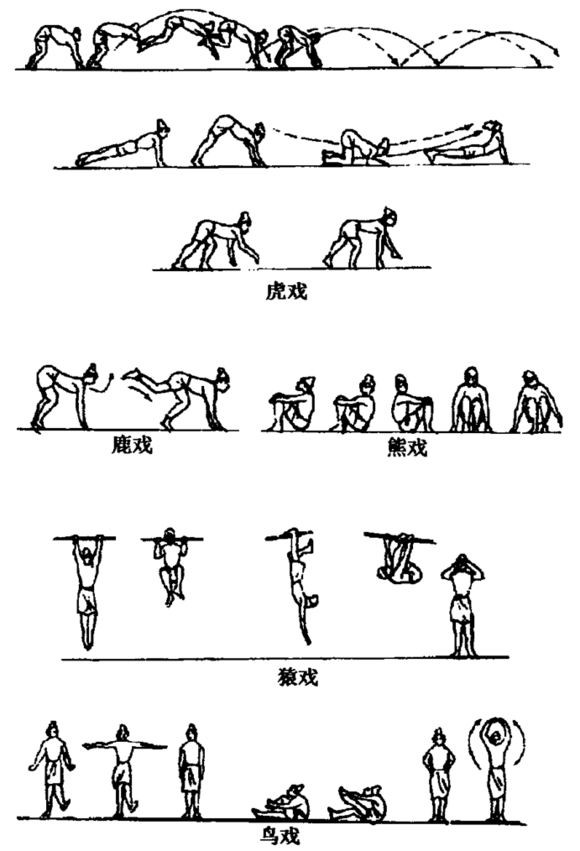 谁能翻译一下这段关于五禽戏的古文?