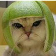 Zhihu profile picture for @emacs
