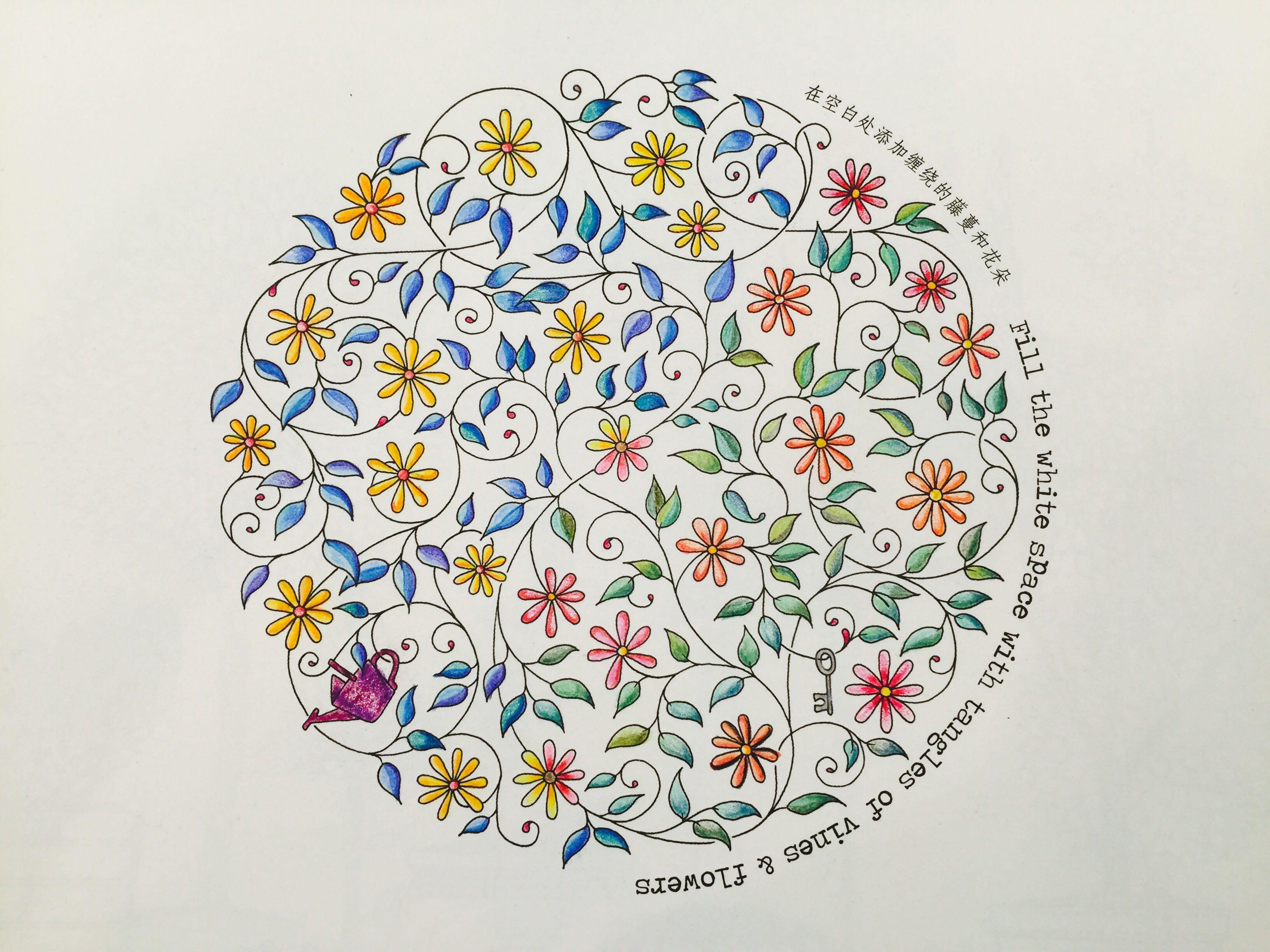 可以分享一下自己在《秘密花园》的涂色作品吗?