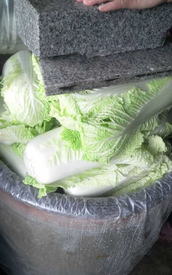 酸菜做法有什么讲究 腌得一手好酸菜是怎么样的体验 知乎 酸菜做法有什么讲究 腌得一手好酸菜是怎么样的体验 知乎