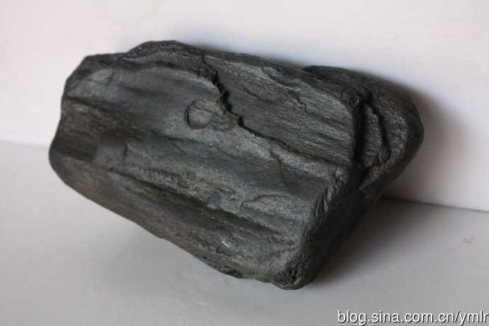 发现硅化木陨石