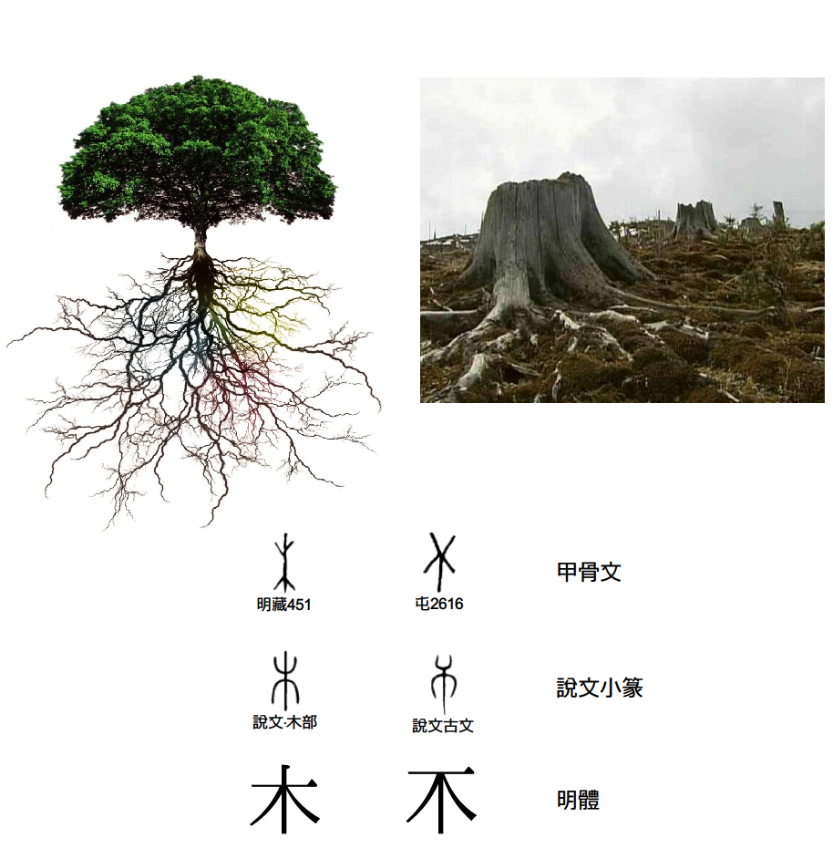 《说文解字》:「伐木馀也.……～,从木无头.
