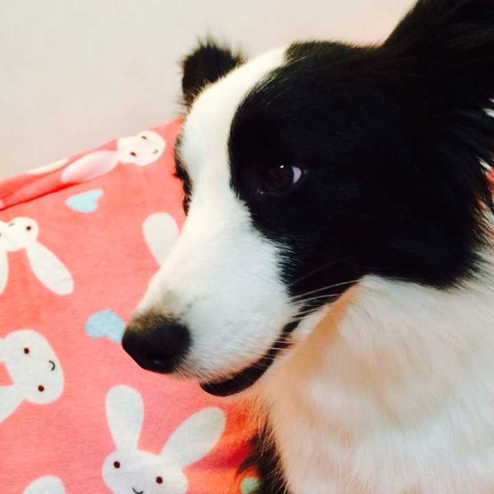 上图是3/4侧脸,仰角~~~ 当然,表情很重要.举个栗子.