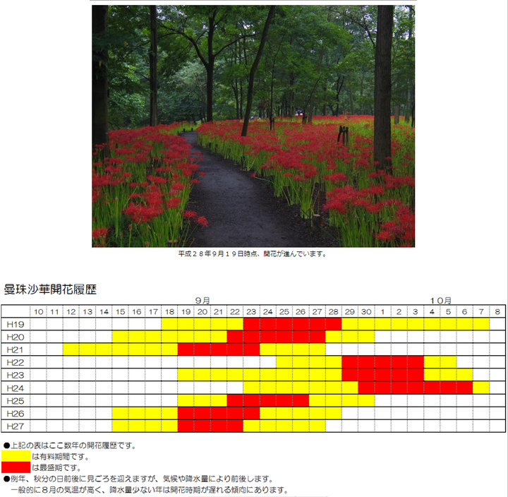 彼岸花 曼殊沙华 曼陀罗之间是什么关系 平如衡的回答 知乎