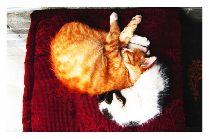 路过贡献一张暖照. 大家给了很多的拍照思路啊!