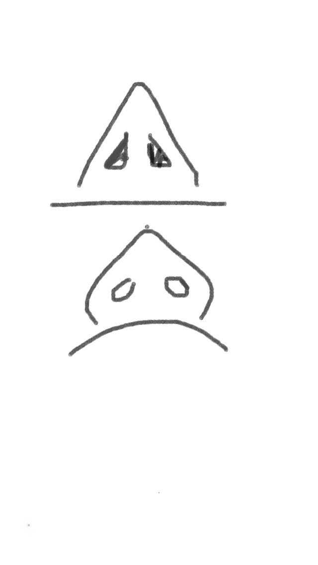 因为那个地方凸,所以你可以想象一下她的鼻子大概是这样.