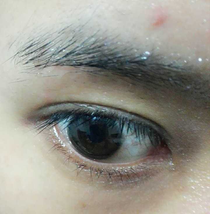 睫毛生长液哪种好 知乎