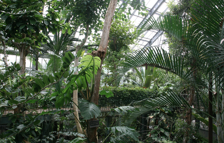 一个好的植物园应该具备什么样的特质 可以从哪些方面创新 知乎