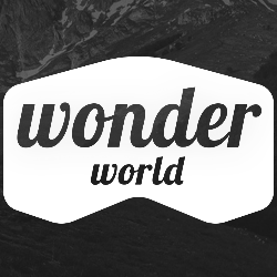 wonderworld好奇