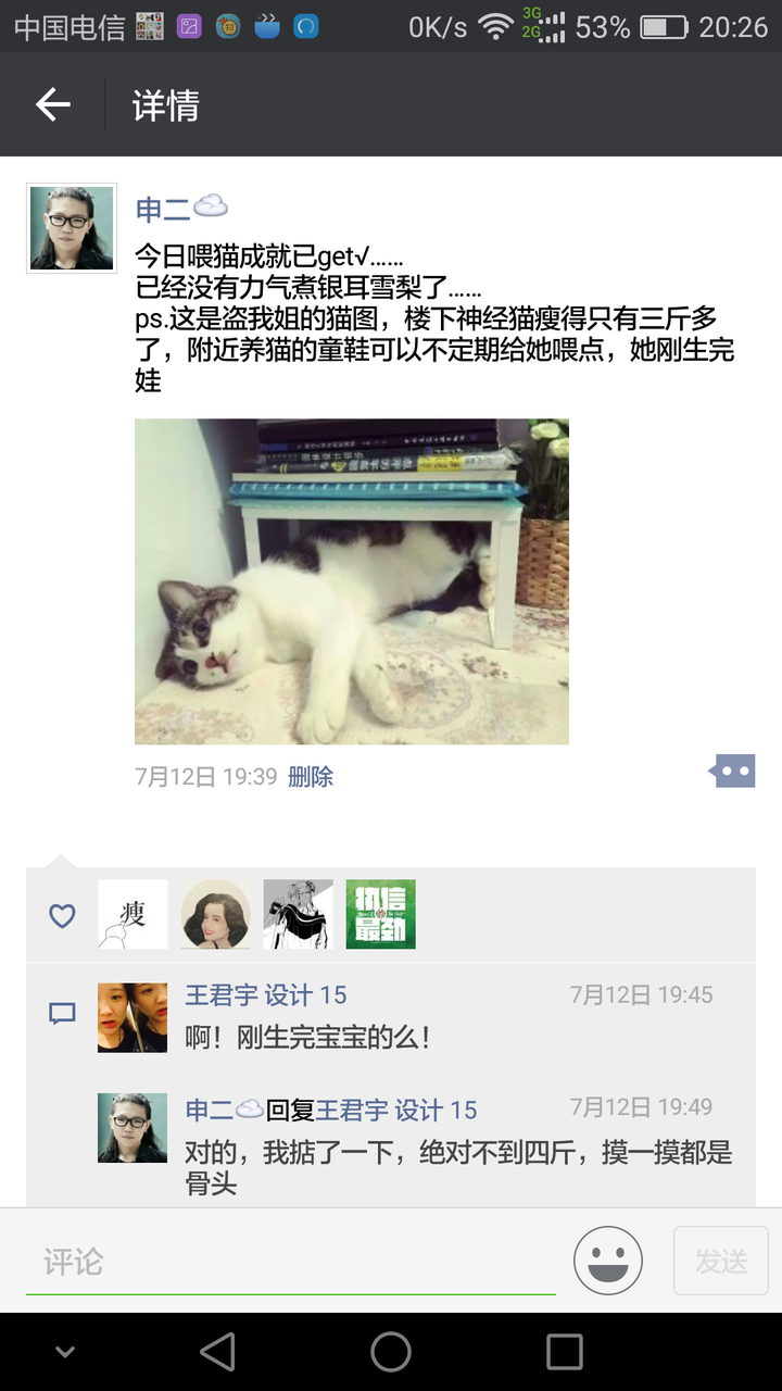 流浪猫会记得经常喂它的人吗 知乎