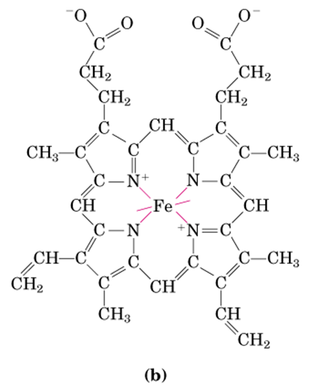 NH4配位键图示图片