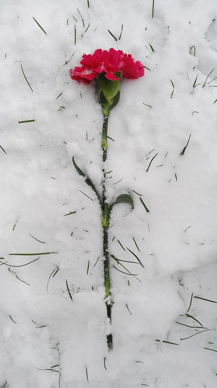 如何用iphone6 6p拍出高逼格的雪景 知乎