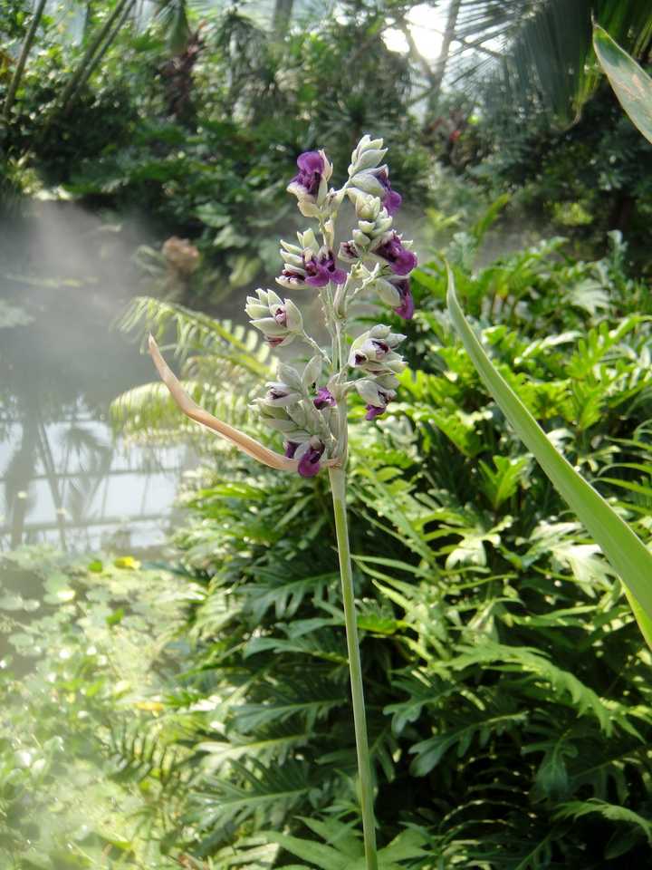 有哪些音译词让你察觉不到是音译的 知乎用户的回答 知乎