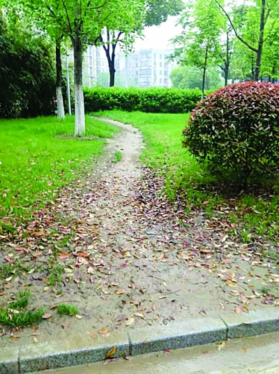 草坪不让踩,那么它的意义是什么?