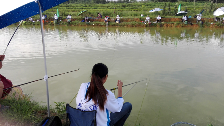 钓鱼比赛的看点在哪里?