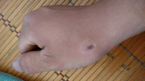 有什么简单且长时间有效的驱赶鸽子的方法?