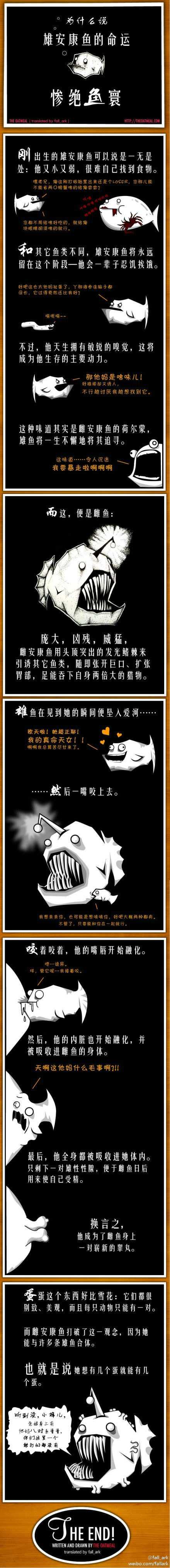 动物交配中有哪些不可思议的事实 知乎 动物交配中有哪些不可思议的事实 知乎
