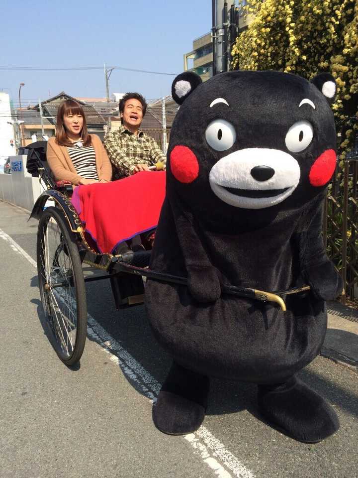 熊本熊的成功是怎么做到的?