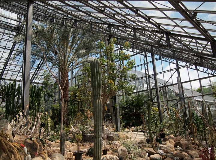 一个好的植物园应该具备什么样的特质 可以从哪些方面创新 知乎