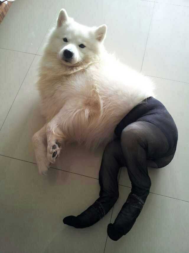 为什么说黑色系女装最性感?