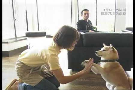 如何评价日本棒球运动员铃木一朗 知乎 如何评价日本棒球运动员铃木一朗 知乎