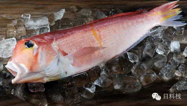 跟日本料理有关的动漫和日剧中经常会看到鲷鱼 为什么日本人这么喜欢鲷鱼 知乎