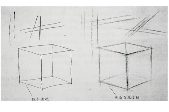 素描其实都是从一条一条的线条去组织的  打阴影的线条   拉线