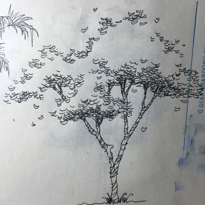 景观手绘中树怎么画比较好看? - 知乎