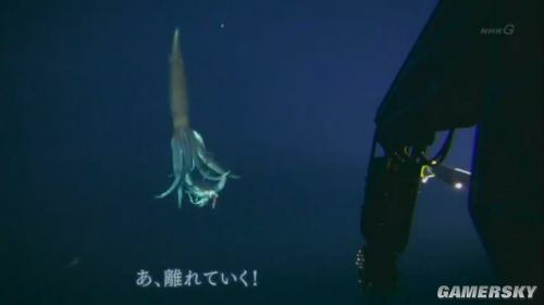 有哪些神话体系里不可思议的生物 后来被发现是真实存在的物种 知乎用户的回答 知乎 有哪些神话体系里不可思议的生物 后来被发现是真实存在的物种 知乎用户的回答 知乎