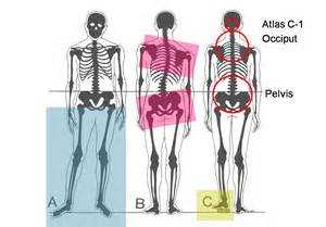如何保持正确的站姿？ - 知乎