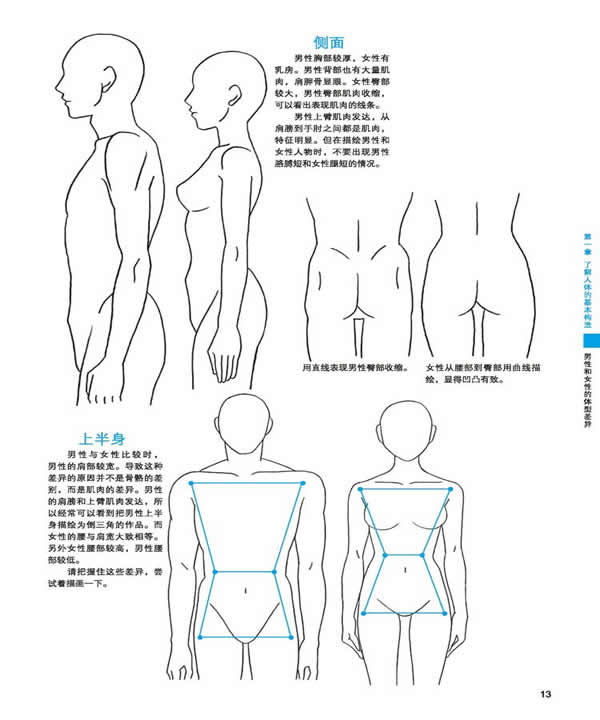 男生身材女性化技巧图片