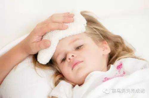 71bed5085769b86cdb4d481efedb8967_hd.jpg
