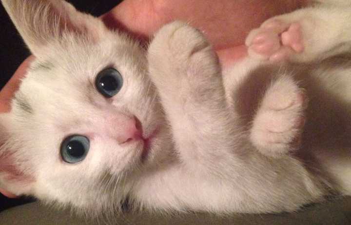 这是晚上精神抖擞脸