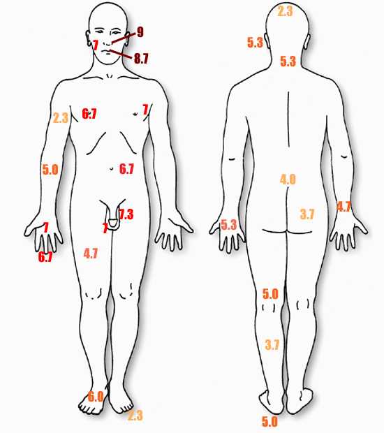 各有哪些作死行为?怎样评价其行为?