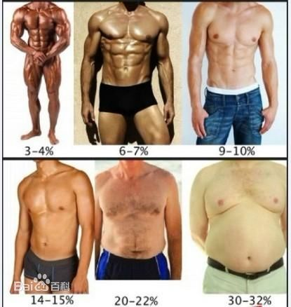一个正常体重的男生可以把体脂降到5 吗 知乎