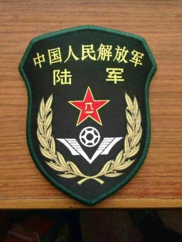 解放军陆军胸标07式图片